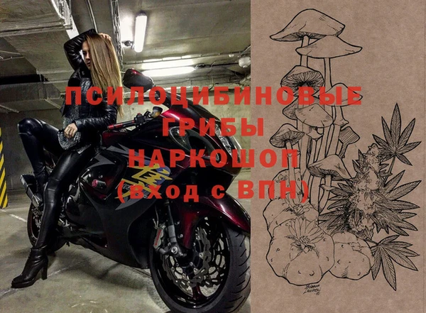 СК Осинники