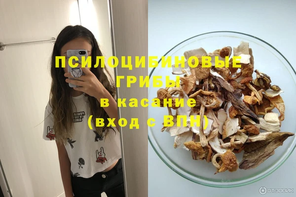 прущая мука Алексин